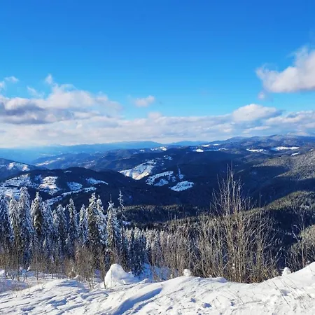 Apartment стената 4-3а